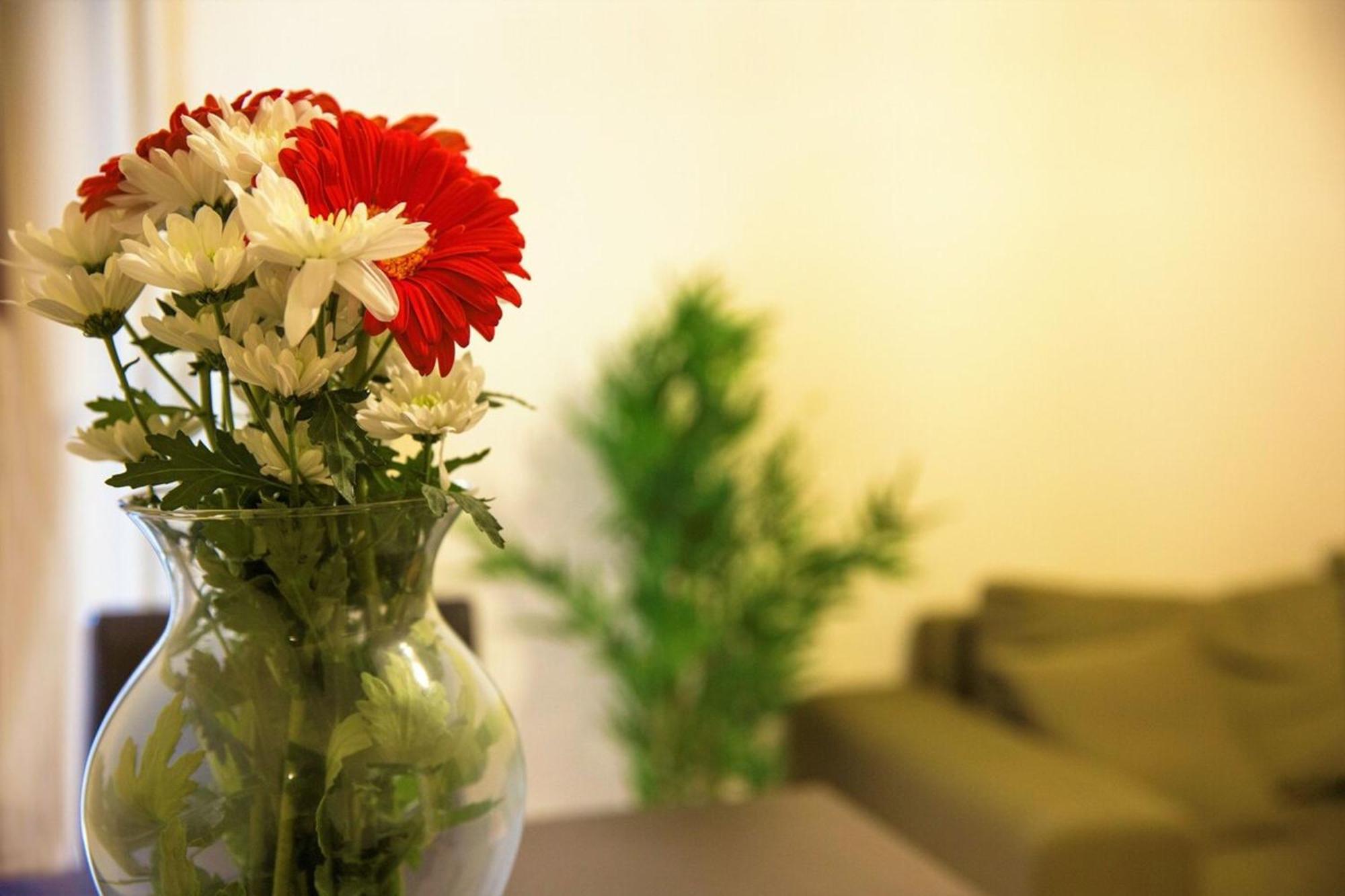 Peaceful Renovated Apartment Near Lycabettus Hill Athen Eksteriør bilde